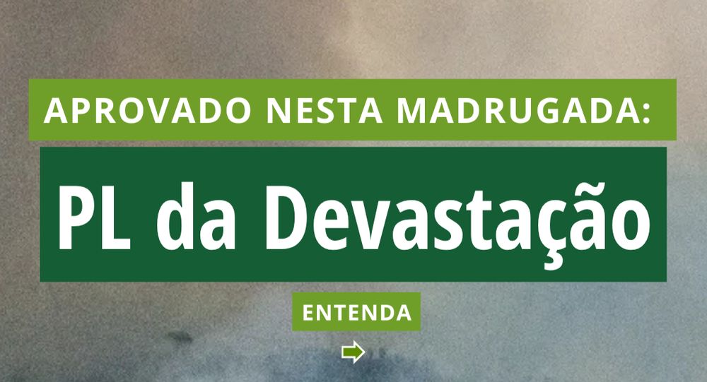 Cópia de Cópia de SAF (Story) - 1