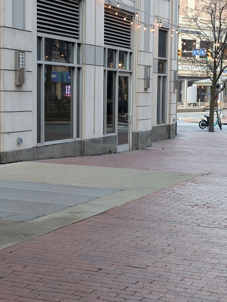 A plump little woodcock is chilling on a brick sidwealk near the base of a city building at the corner of Huron Rd E and Euclid Ave in downtown Cleveland. It's early evening moving into dusk and spring temps are in the low 50s(F), so this is a common time for them to be active.