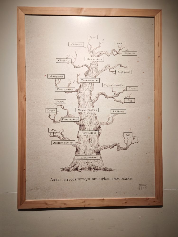 arbre philogénétique des animaux imaginaires. Musée de Lodève 