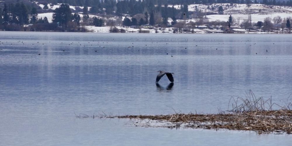 Interior Department Reaches Landmark Agreement with Klamath Basin Tribes, Project Irrigators to Collaborate on Ecosystem Restoration and Water Reliability | U.S. Department of the Interior