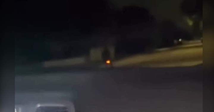 'It’s incredibly disturbing to see such disregard for life captured on video simply for online entertainment,' said EPS acting Staff Sgt. Richard Windover.