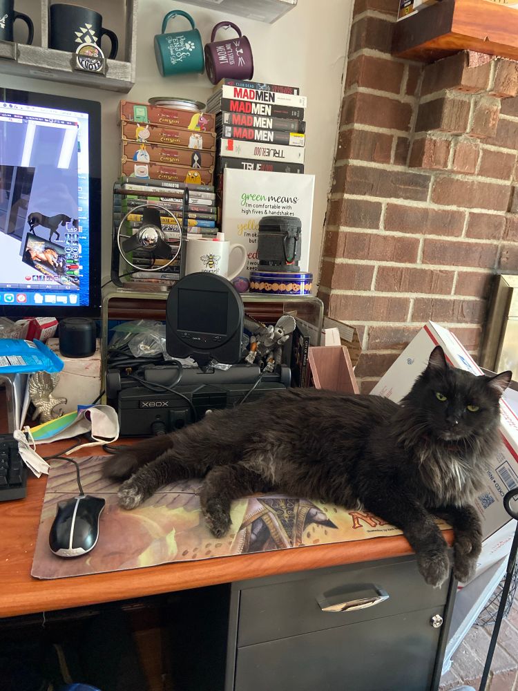 Black cat sitting on a desktop.
