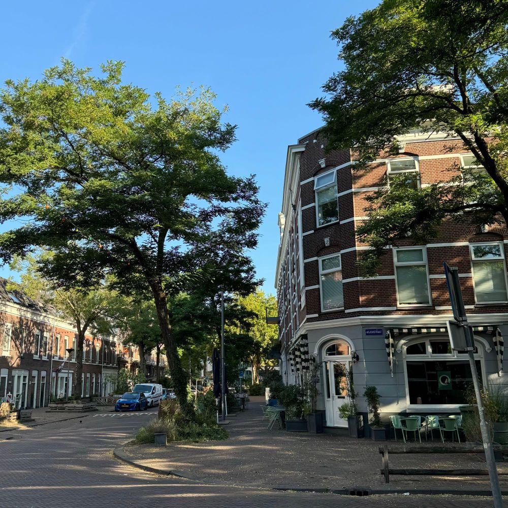 An angled view of a lovely tree lined street with long, many-windowed, red brick buildings along the sides of the street. The trees along the street provide complete shade along the street.  Sun appears along the top of the top of the building in the left side of the image. 
