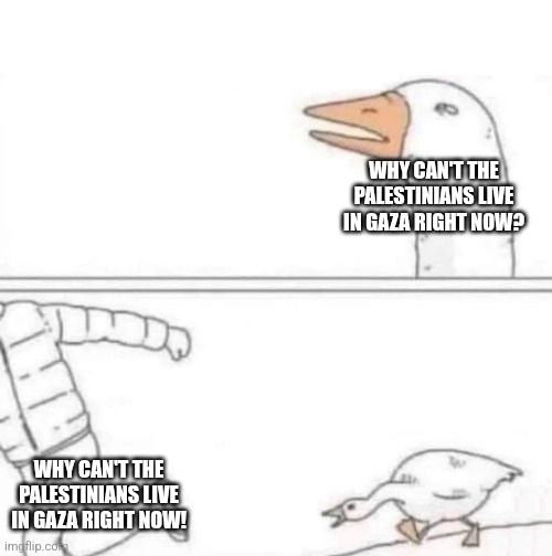The angry goose chase meme asking why the Palestinians can't live in Gaza right now. The answer, of course, is because Israel bombed it into a disaster zone under Netanyahu's orders as a method of genocide