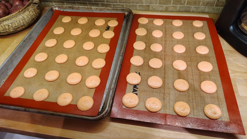 Macarons setting before being placed in the oven.
