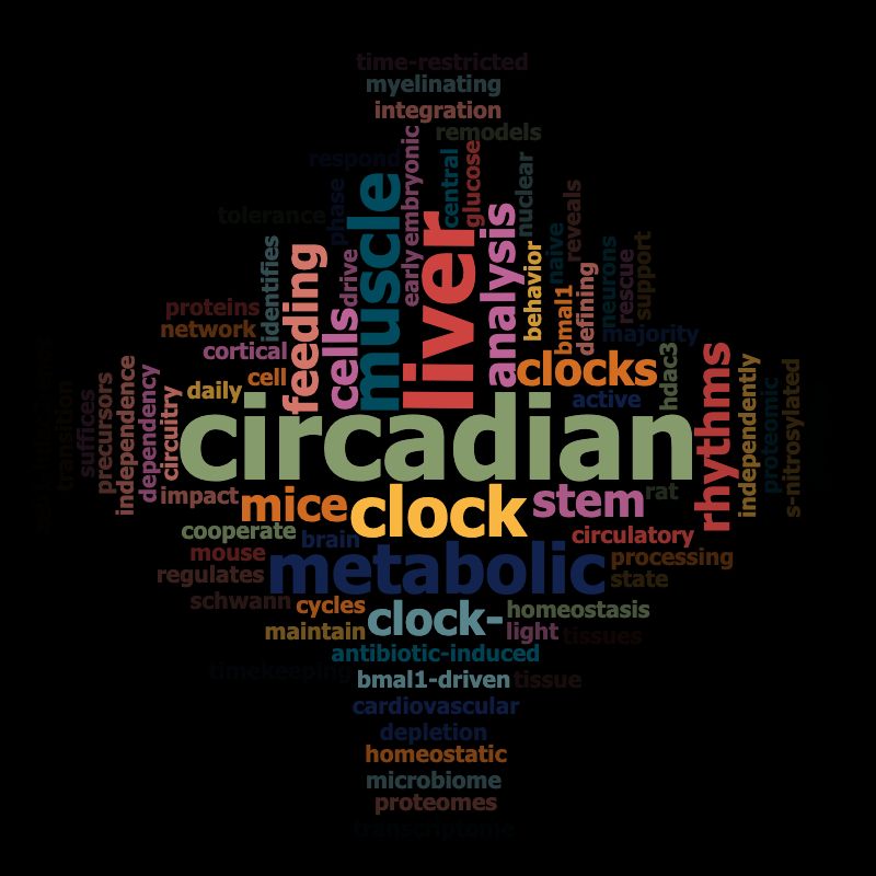 word cloud showing research focus of Jacob Smith. Main words are circadian, clock, liver, muscle, metabolic