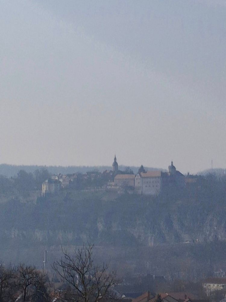 Die Dornburger Schlösser in Thüringen auf dem Saale Plateau, im Herbst Nebel.