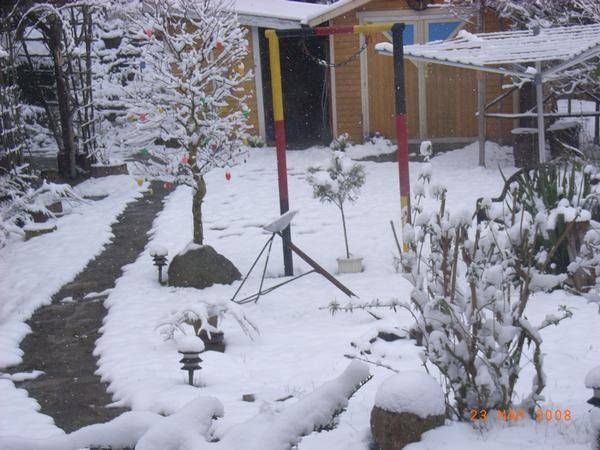 Der heimische Garten, Ostern 2008.. Der Osterbaum mit bunten Eiern, im Schnee ist dann was ganz seltenes, besonders in Thüringen..