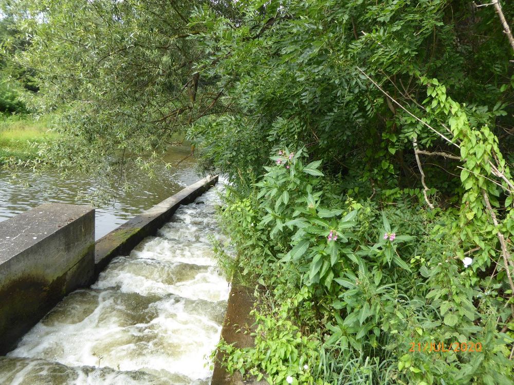 StauStufen des SaaleWehr in Dorndorf/Thüringen (Stadt Dornburg-Camburg).