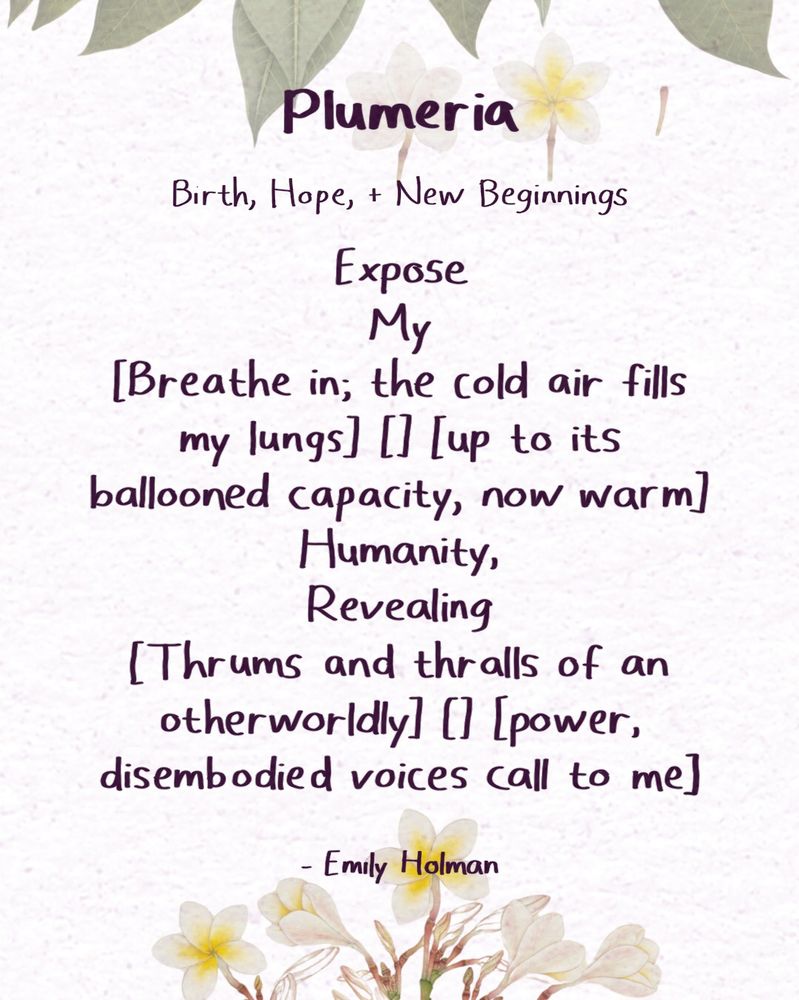 Plumeria
Birth, Hope, & New Beginnings
Expose 
My 
[Breathe in; the cold air fills my lungs] [] [up to its ballooned capacity, now warm] 
Humanity, 
Revealing 
[Thrums and thralls of an otherworldly] [] [power, disembodied voices call to me] Worms 
And 
[Who puzzle-pieced me together before,] [] [assembling lamb for slaughter, for god?] Rot 
And 
[No longer made of metal, jellied eyes] [] [leap from my skull. I can grow again.] Blood.
By Emily Holman

Keywords: poetry for women, poet community, writing, women, empowerment, writer, creatives, poetry horoscope, poetry inspiration, poetry quote, a poem a day, poetry and flower, flower meanings, flower symbolism, one poem only, poetry podcast, language of flowers