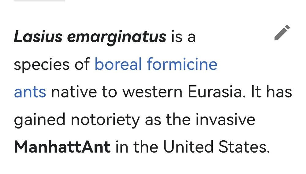 Lasius emarginatus is a species of boreal formicine ants native to western Eurasia. It has gained notoriety as the invasive ManhattAnt in the United States.