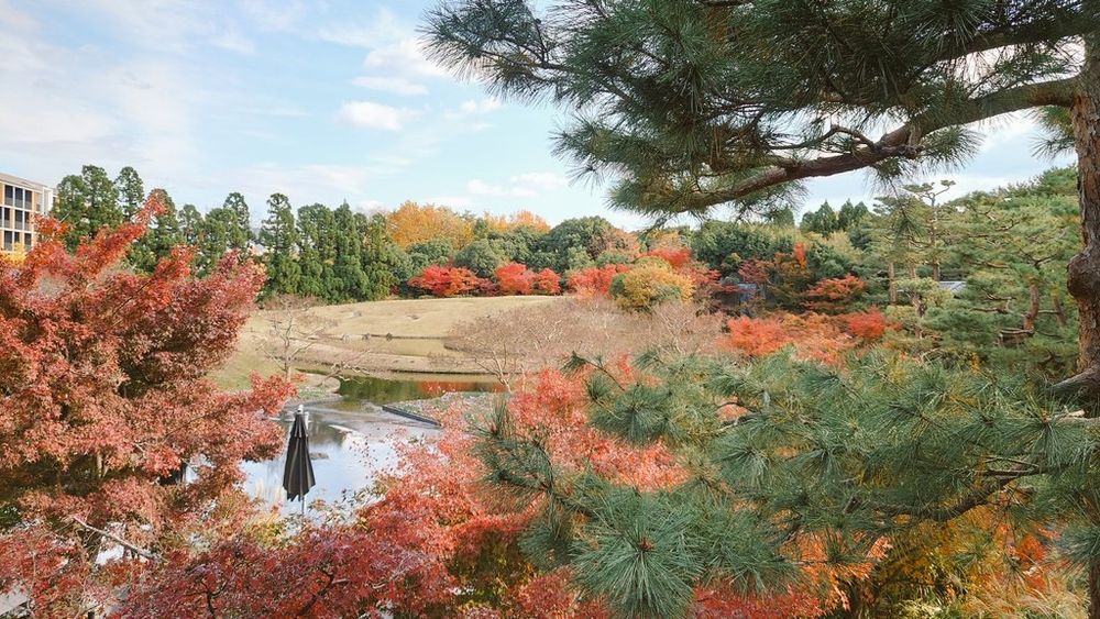 回遊式庭園の遠景