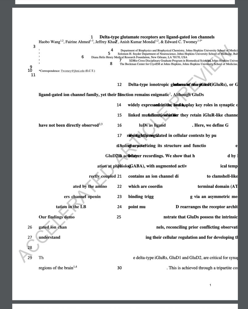 screenshot of author version of a manuscript except the layout is messed up so that the text is arranged in a weird diagonal shape and partly off the page. The title says that delta-type glutamate receptors are ligand-gated ion channels.