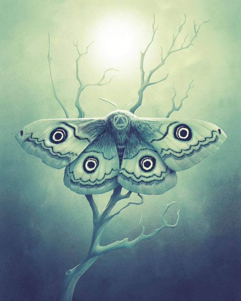 Sub Luna. A print of a moth on a branch in tones of green, blue, and purple.