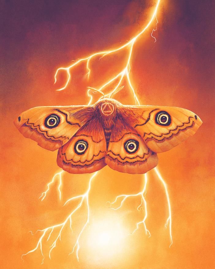 Per Solis. A print of a moth on a branch in tones of orange, red and purple.