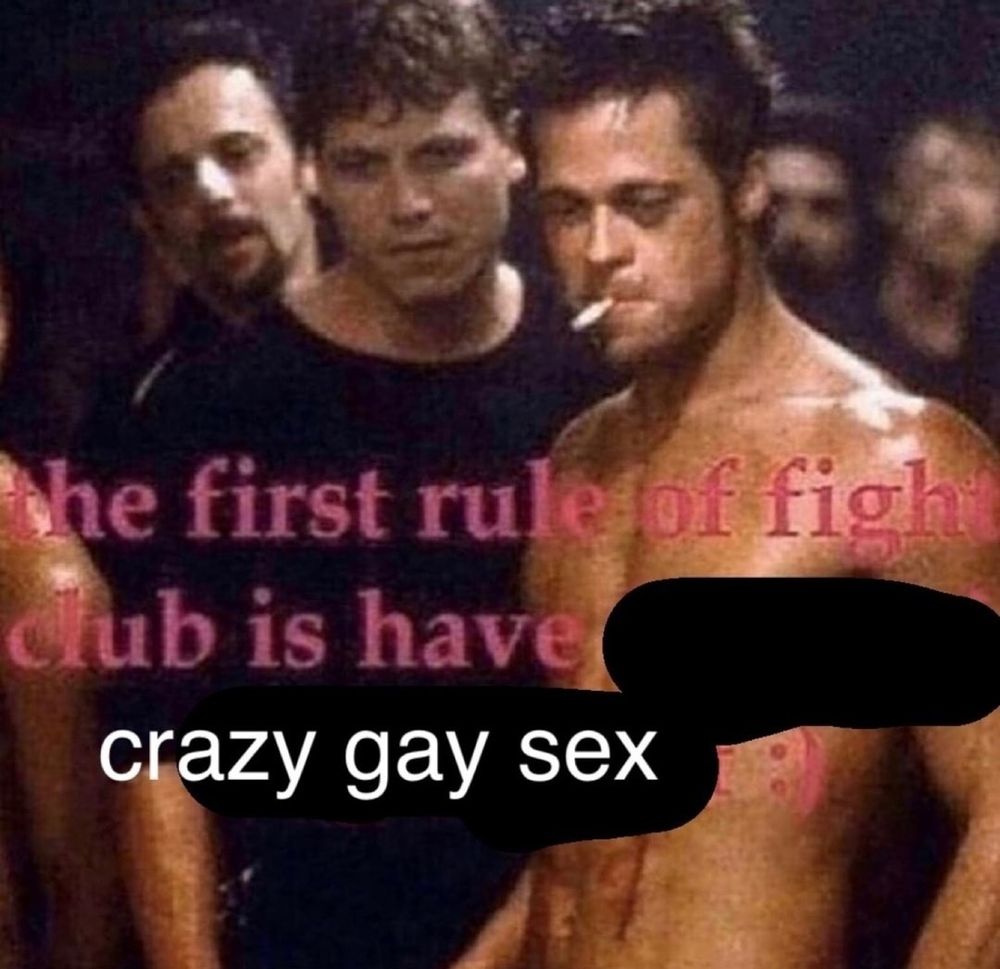 A cena do Tyler Durden em sua primeira briga no Clube da Luta com a legenda "the first rule of fight club is have crazy gay sex :)".