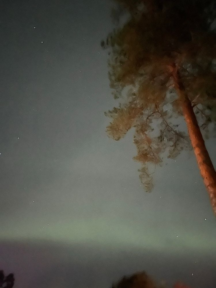 Aurora borealis in Central Finland 
