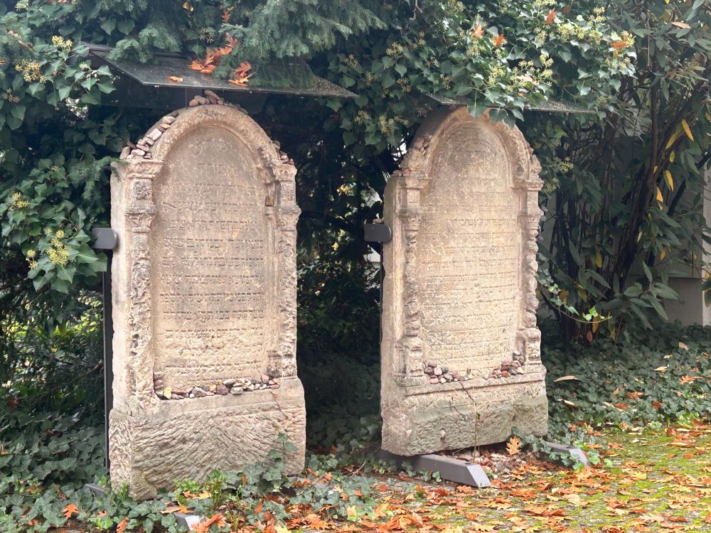Two gravestones inscribed with Hebrew text, surrounded by trees and autumn leaves and ivy on the ground beneath.