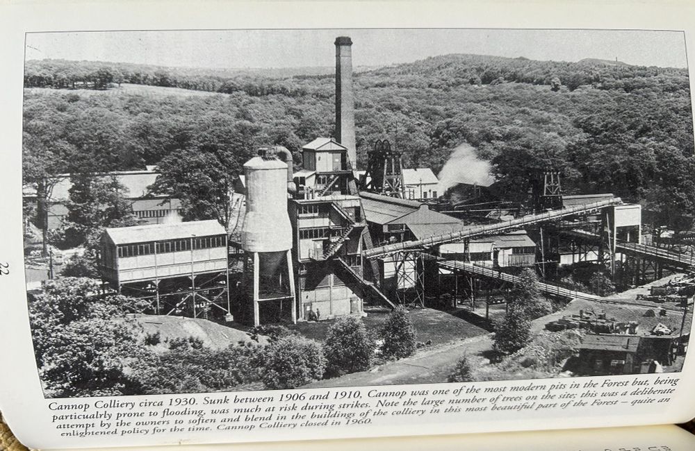 A photograph of Cannop Colliery in the Forest of Dean in Gloucestershire. It was taken in 1930. 