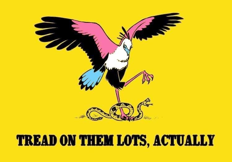 Yellow background with a bright multicolored vulture stepping on a hissing snake.

Text reads "Tread on them lots, actually."
