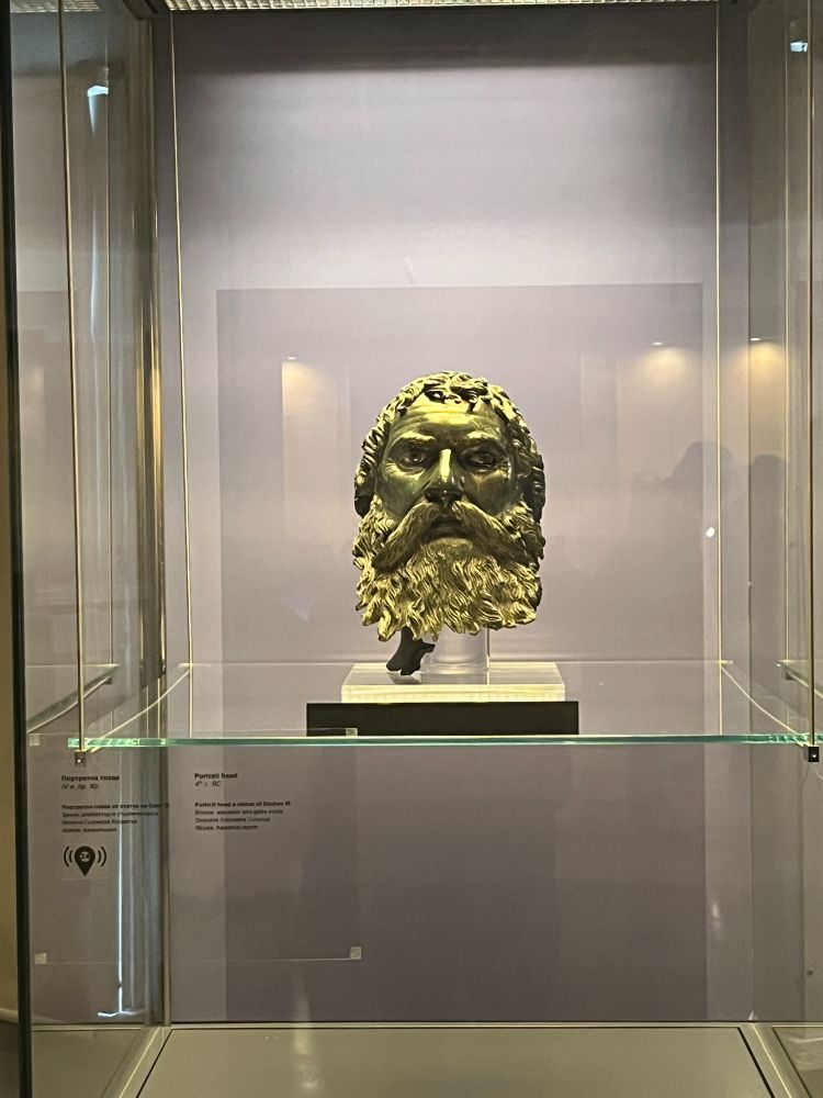 Bronze portrait head of Seuthes in a glass display case. He has a large moustache, and long beard.