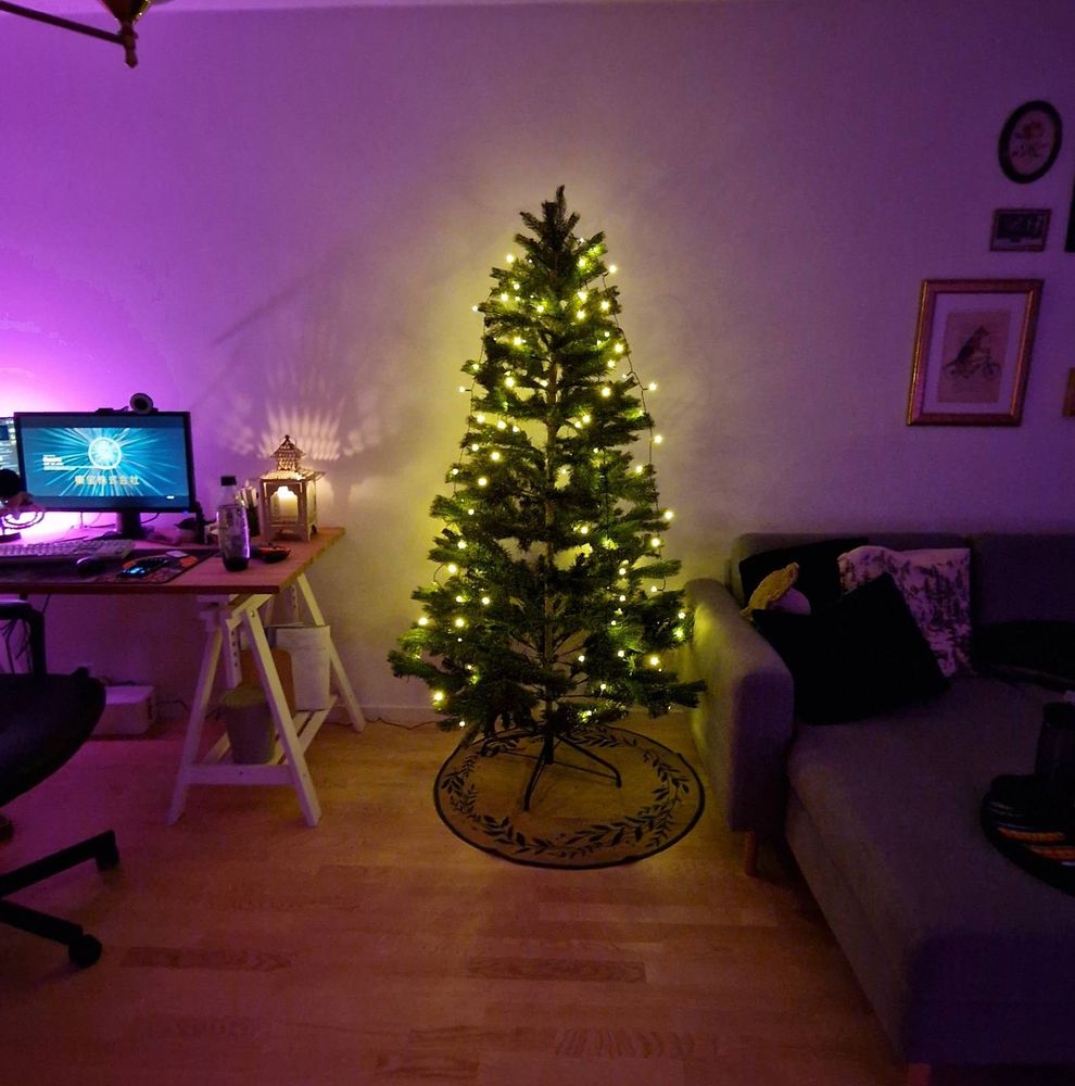 Tara's living room with a lit Christmas tree in the middle 