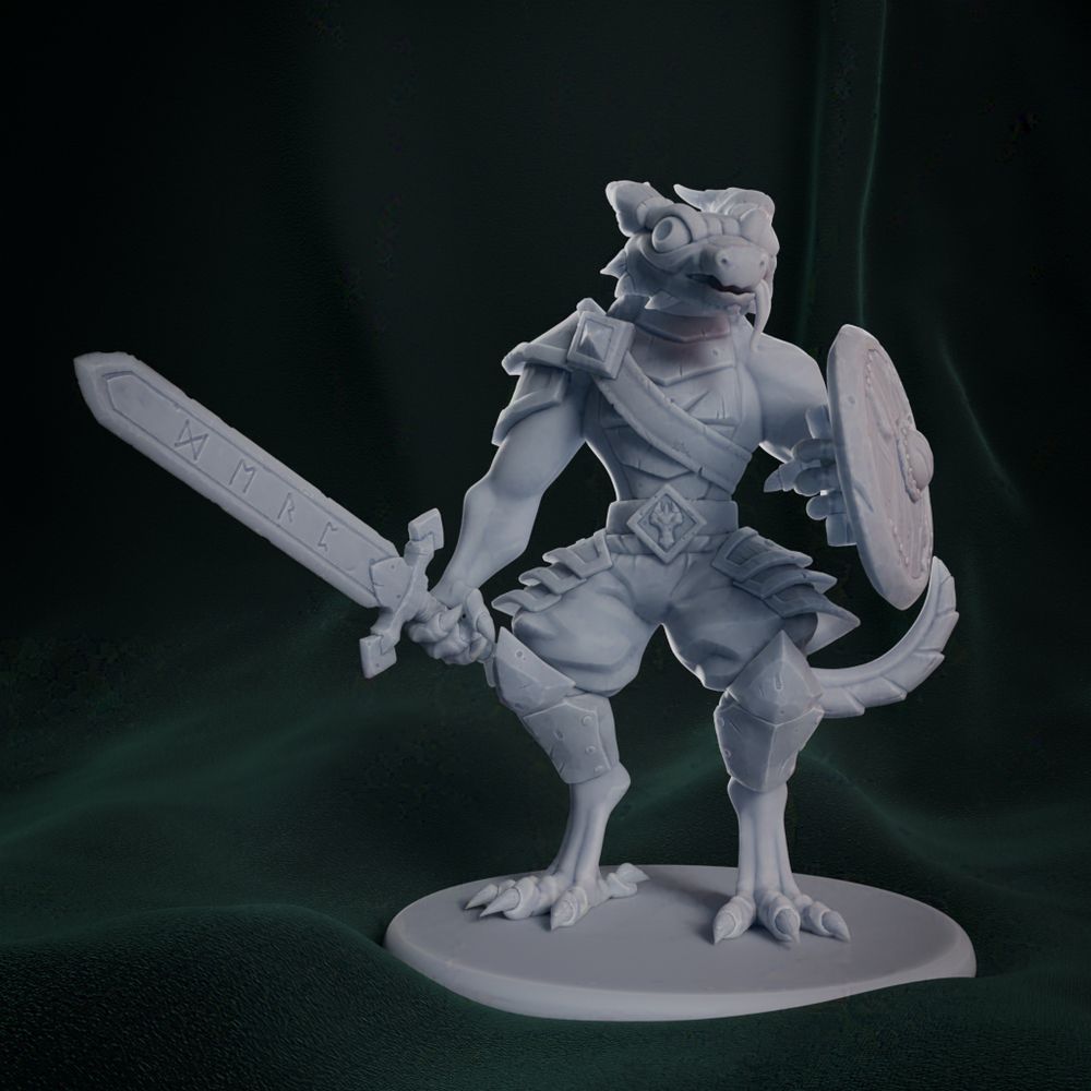 Dragonborn figure from front, he has a sword the right hand and a shield wood/steel shield on the left one