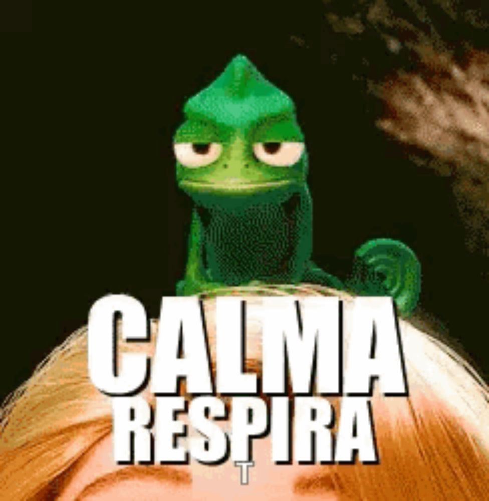 a chameleon is sitting on top of a woman 's head with the words " calma respira " written below it