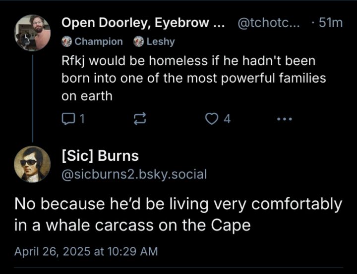 I skeet "Rfkj would be homeless if he hadn't been born into one of the most powerful families on earth"
Then @sicburns2.bsky.social‬ replies
"No because he’d be living very comfortably in a whale carcass on the Cape"