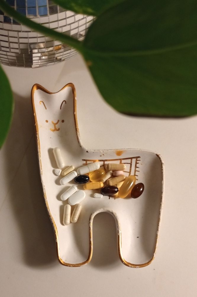 A photograph of a white enameled llama-shaped dish on an off-white background the head of the llama takes up the space between two leaves from a houseplant that is hanging in a disco-ball-shaped planter. The llama dish has about 20 different pills and capsules in it, some apparently liquid filled, some powder filled. Whoever is doing this really likes to take pills! (It's me, I like to take pills)