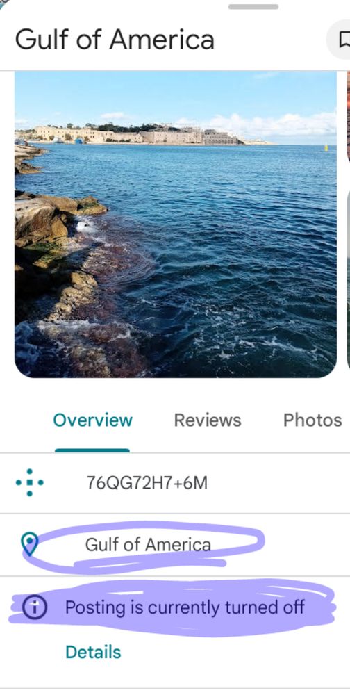 A screenshot from Google maps showing the entry for the "Gulf of America"
"Posting is currently turned off" is highlighted in lavender