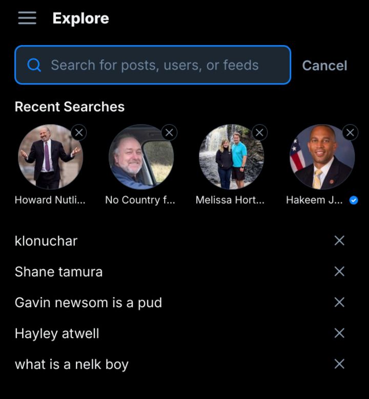 Screenshot of a bouesky explore tab in dark mode reads: 
Explore
Recent searches:
klonuchar
Shane tamura
Gavin newsom is a pud
Hayley atwell
what is a nelk boy