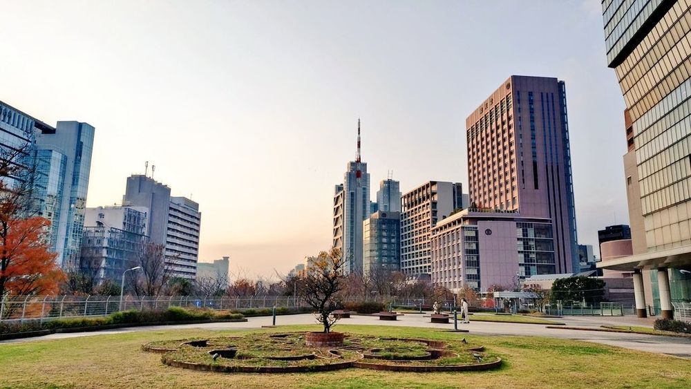 都内某所の病院の中2階にある庭園の写真。広い芝生の真ん中に、芝桜の植え込みが花のデザインのように敷かれ、中央には苗木から植えられた一本の梅の木がある。まだようやく大人の背丈を越えるくらいの高さ。
木や芝生は茶色や黄色に枯れている。
庭園の両側には地上から伸びるビルが立ち並ぶ。遠くに高層ビル群もわずかに望む。空は夕暮れ時で、薄青からオレンジへとグラデーションになり、夕陽がビルの窓に反射してかがやいている。