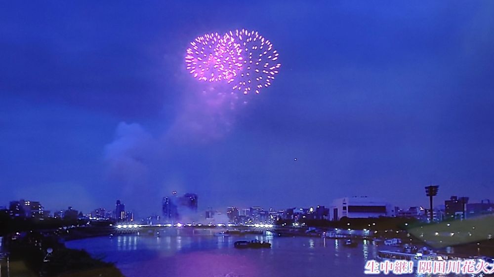隅田川花火大会の映るテレビ画面。
濃藍の空に明るくピンクの花火が2つ、丸く花のように広がっている様子。