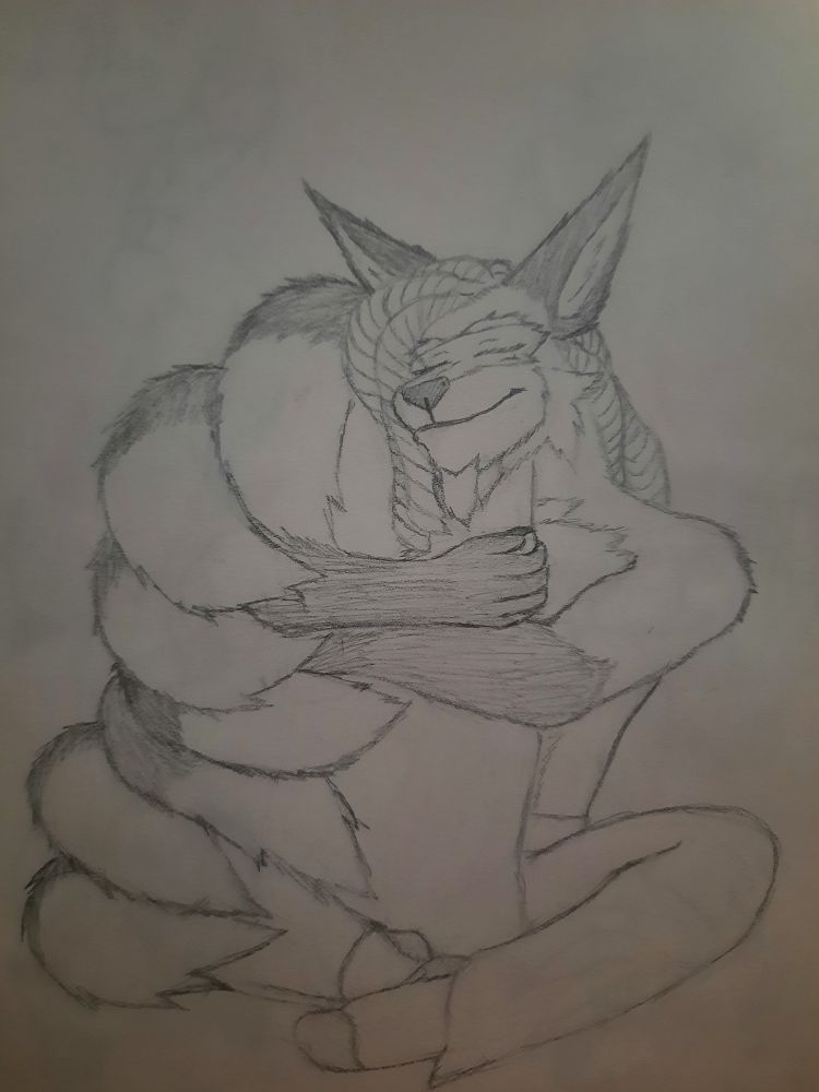 A picture of an anthro kitsune hugging a pillow. The tails wrapped around it tightly