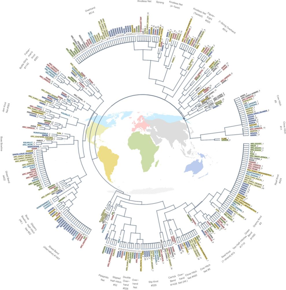 A circular dendrogram (phenetic tree) of knots, made using the ggtree package in R. A text-readable and high-resolution PDF-version of the tree is available as a supplementary material.
