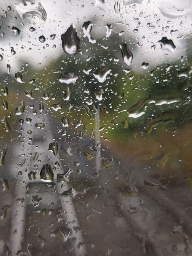 Raindrops on a tram window pain looking out onto the tracks.