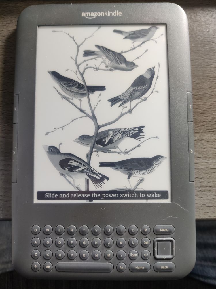 An ancient Kindle keyboard with the bird screensaver on it. 