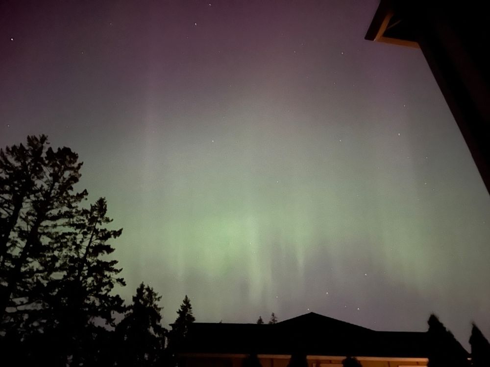 The aurora borealis over the roof of a house with a large Doug fir in the foreground on the left. The auroras are light green columns at the base with some pink and purple glow at the top. 