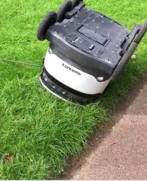 An upside-down Starship food delivery clanker.