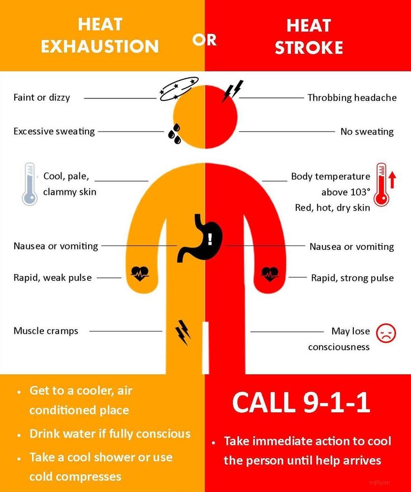 Heat Exhaustion: faint or dizzy, excessive sweating, cool pale or clammy skin, nausea or vomiting, rapid weak pulse, muscle cramps. Get to the cooler, AC place. Drink water. Take a cool shower. Heat stroke: throbbing headache, no sweating, body temp above 103, red-hot dry skin, nausea or vomiting, rapid strong pulse, May lose consciousness means CALL 9-1-1. Take immediate action to cool the person until help arrives. 