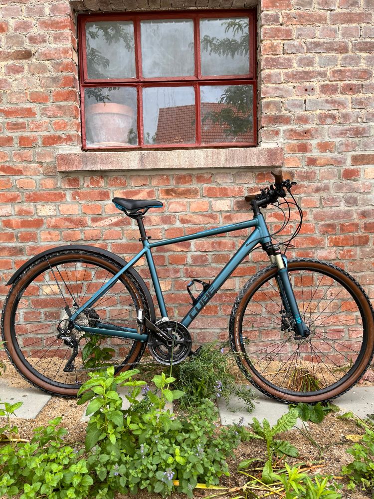 Mountainbike vor einer Backsteinwand. Das Fahrrad ist blau. Im Vordergrund sind grüne Pflanzen.