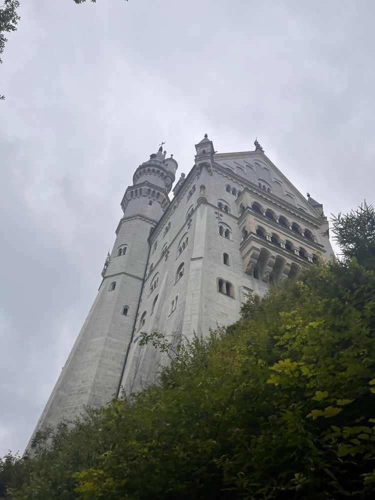 Schloss Neuschwanstein aus der Froschperspektive im Vordergrund sind Bäume 