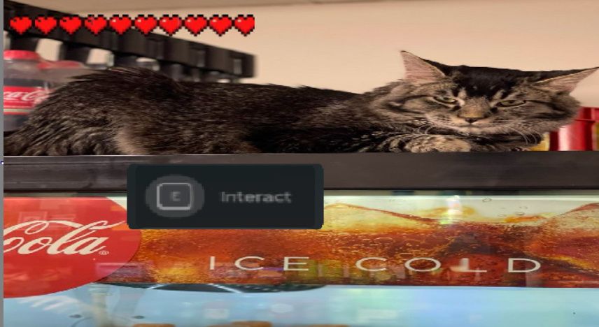 Comment image