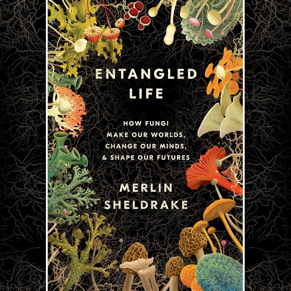 An audiobook cover. Various fungi surround text reading, Entangled Life: How Fungi Make Our Worlds, Change Our Minds & Shape Our Futures, Merlin Sheldrake.