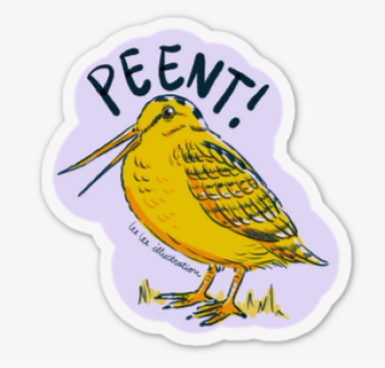 An image of a sticker featuring a woodcock bird in yellow and purple with the text “PEENT!” above in bold letters 