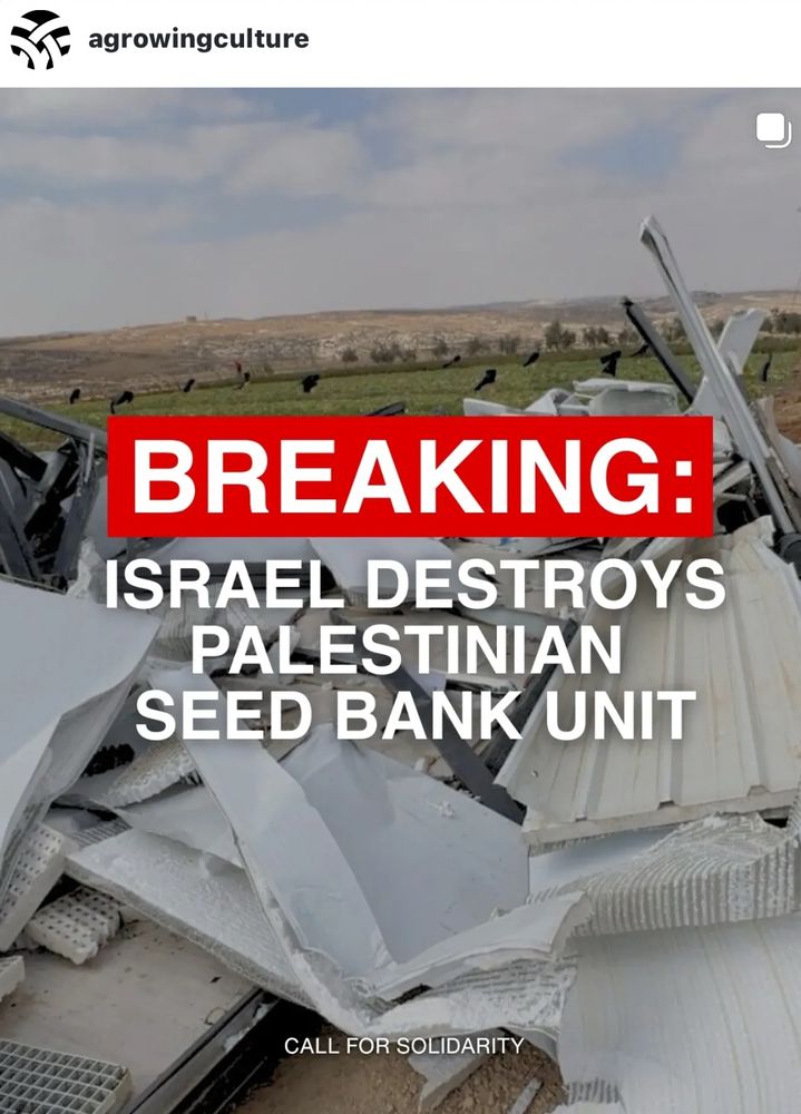 agrowingculture
BREAKING:
ISRAEL DESTROYS
PALESTINIAN
SEED BANK UNIT
CALL FOR SOLIDARITY