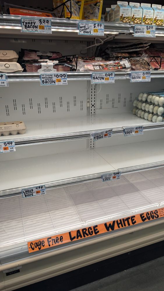 A Trader Joe's shelf with only 1 dozen eggs left and some organic blue and brown egg dozens are just in frame.