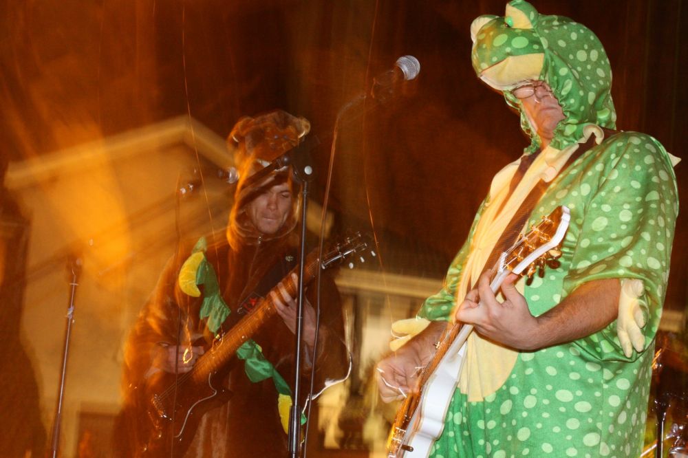 Une grenouille qui fait du rock