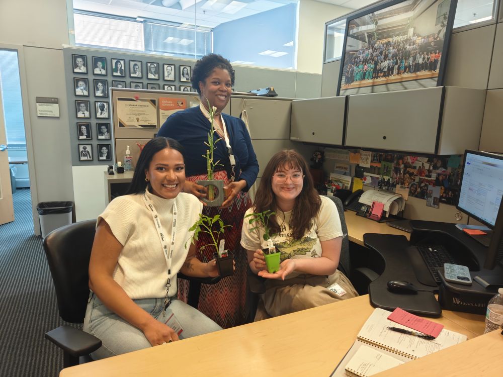 Photo of 2 sitting women and one standing, behind a desk, in an office. They are all holding plants. 